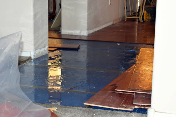 Professional Burst Pipe Cleanup technician working in Simonton, TX